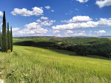 Load image into Gallery viewer, MONTALCINO WINE TOUR & PIENZA FROM FLORENCE