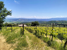 Load image into Gallery viewer, TUSCANY GRAND TOUR 2 WINERIES & MONTERIGGIONI CASTLE FROM FLORENCE