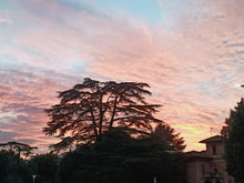 Load image into Gallery viewer, SIENA & CHIANTI WINE TOUR FROM FLORENCE