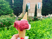 Load image into Gallery viewer, SIENA STREET FOOD &  GELATO TASTING