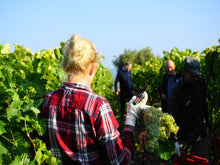 Load image into Gallery viewer, CHIANTI WINE TOUR & MONTERIGGIONI FROM SIENA