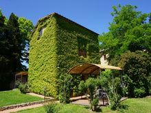 Load image into Gallery viewer, SIENA & CHIANTI WINE TOUR FROM FLORENCE