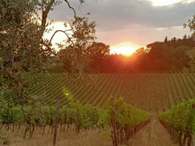 Load image into Gallery viewer, CHIANTI WINE TOUR & MEDIEVAL CAVE FROM SIENA