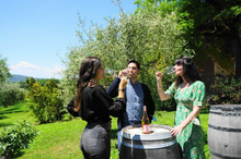 Load image into Gallery viewer, TUSCANY GRAND TOUR 2 WINERIES & MONTERIGGIONI CASTLE FROM FLORENCE