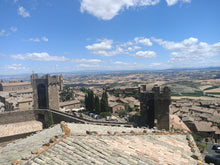 Load image into Gallery viewer, MONTALCINO WINE TOUR & PIENZA FROM FLORENCE