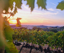 Load image into Gallery viewer, MONTALCINO WINE TOUR & PIENZA FROM FLORENCE