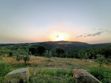 Load image into Gallery viewer, VIP CHIANTI DINNER