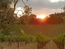 Load image into Gallery viewer, VIP CHIANTI DINNER