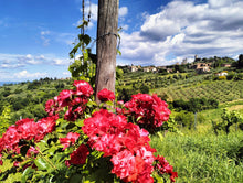 Load image into Gallery viewer, SAN GIMIGNANO, CHIANTI HILLS & MONTERIGGIONI FROM SIENA