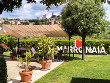 Load image into Gallery viewer, SAN GIMIGNANO TOUR & PISA FROM FLORENCE