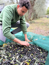 Load image into Gallery viewer, TUSCANY OLIVE OIL FARM & SIENA TOUR