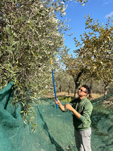 Load image into Gallery viewer, TUSCANY OLIVE OIL FARM & SIENA TOUR