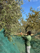 Load image into Gallery viewer, CASE 6 BOTTLES - Organic Tuscany Extra-virgin olive oil