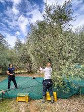 Carregar imagem no visualizador da galeria, TUSCANY OLIVE OIL FARM & SIENA TOUR