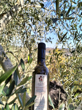 Cargar imagen en el visor de la galería, CASE 6 BOTTLES - Organic Tuscany Extra virgin olive oil