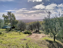 Load image into Gallery viewer, TUSCANY OLIVE OIL FARM & SIENA TOUR
