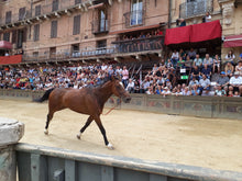 Load image into Gallery viewer, SIENA FOOD TOUR & CHIANTI WINE