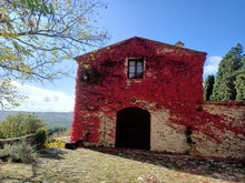 Load image into Gallery viewer, CHIANTI WINE TOUR & MONTERIGGIONI FROM SIENA