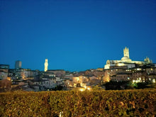 Load image into Gallery viewer, SIENA WINE TASTING IN A MEDIEVAL CAVE