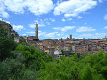 Load image into Gallery viewer, SIENA STREET FOOD &  GELATO TASTING