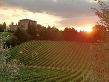 Load image into Gallery viewer, CHIANTI WINE TOUR & MONTERIGGIONI FROM SIENA
