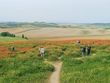 Load image into Gallery viewer, MONTALCINO WINE TOUR & PIENZA FROM FLORENCE