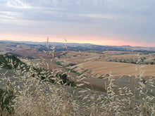 Load image into Gallery viewer, BRUNELLO DI MONTALCINO, VAL D'ORCIA & MONTEPULCIANO FROM FLORENCE