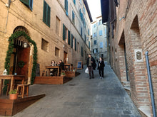 Load image into Gallery viewer, TUSCANY OLIVE OIL FARM &amp; SIENA TOUR
