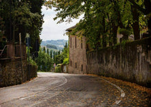 Load image into Gallery viewer, SIENA &amp; CHIANTI WINE TOUR FROM FLORENCE
